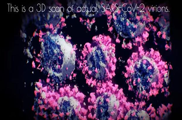 Koronavirüs İlk Kez Fotoğraflandı