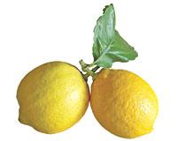 Kansere karşı limon